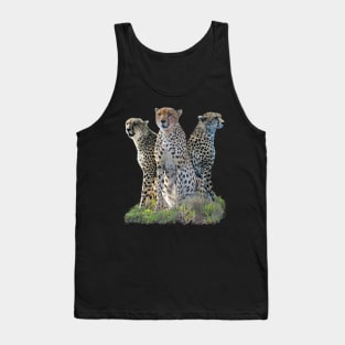 Cheetahs - Cheetah - Big Cat - Predator - Africa Tank Top